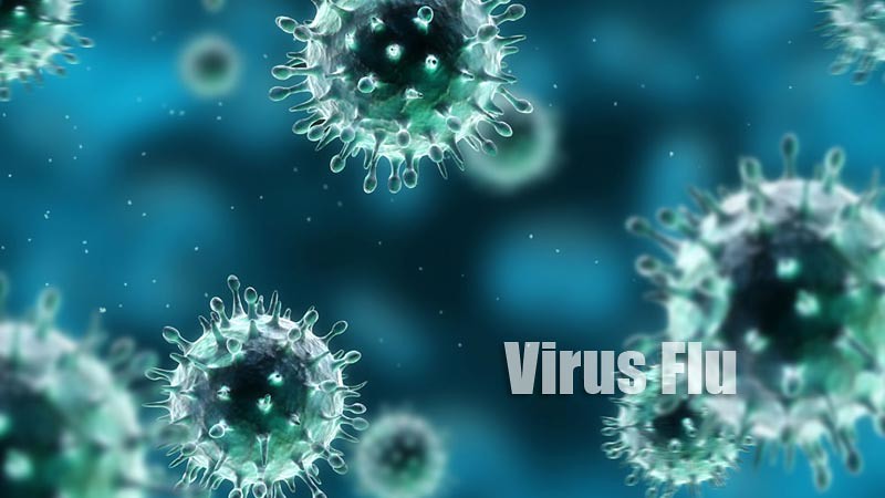 Virus flu