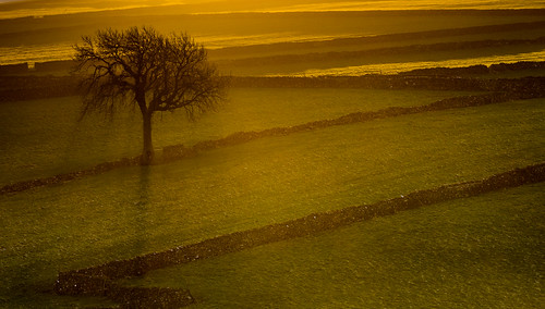 sunrise litton drystonewalls derbyshire whitepeak peakdistrict mist shadow skeleton