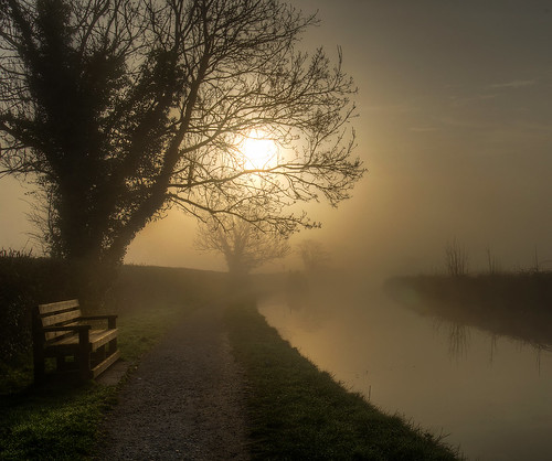 bench fog sunrise relax walk walking canal towpath path