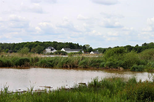 view of lake and buildings of Het Vinne in Zoutleeuw
