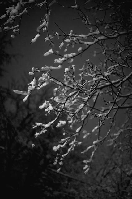 2018.02.04_035/365 - Beautiful Winter Night