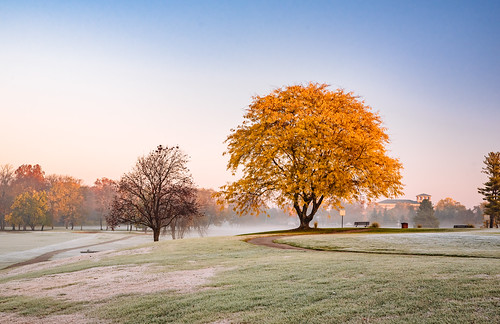 grass landscaping foliage indiana bench mist columbus fall early cold morning tree travel greenbeltgolfcourse path fog autumn frost golfcourse trees