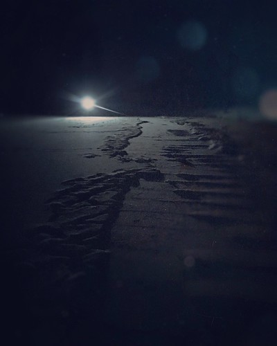 frozen picsart iphone snow ice night winter cold moon