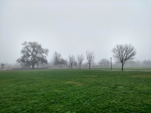 moto g5 snapshot davis yolocounty california fog winter
