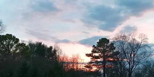 outdoors nature sagegirl tennessee sky trees clouds sunset iphone7plus