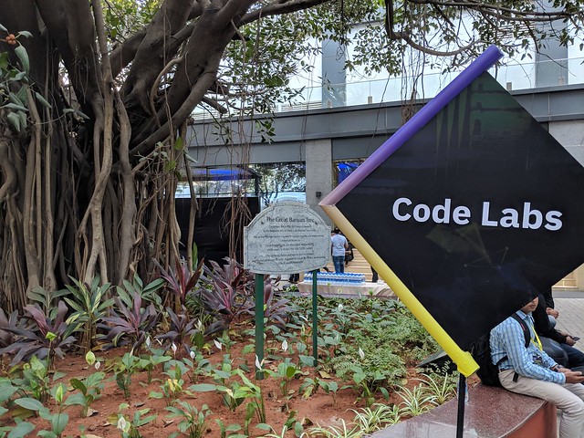 IBM Code Day 2018