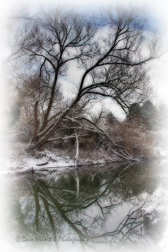 essex riverstort stort rivers trees winter snow relections landscapes nature