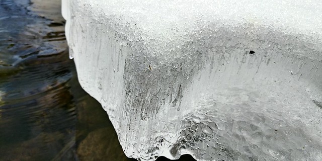 얼음
