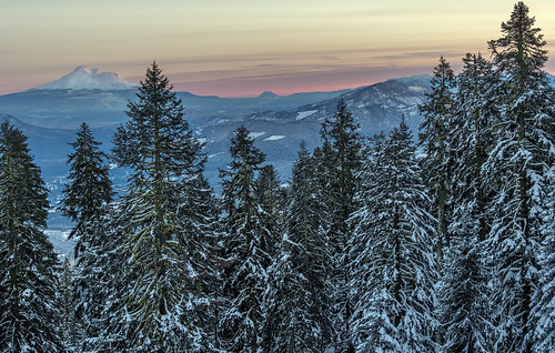 mt shasta snow from mount ashland southernn oregon winter nikon d500 trees nikkor 24120mm f4g pct pacific crest trail