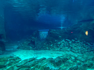 Photo 3 of 10 in the SeaWorld Orlando gallery