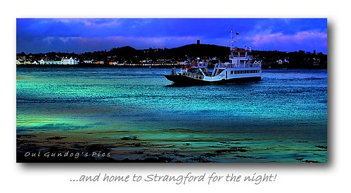 strangford ferry northern ireland co down ulster uk water sky home transport sunset night fery boats lough