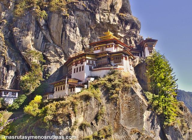 Por los monasterios y bosques de BUTAN - Blogs de Bhutan - Paro: de los tigres voladores a los perros ladradores (11)