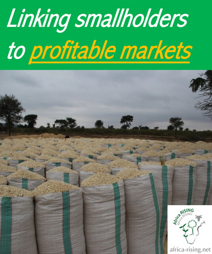 Linking smallholder maize/legume farmer groups with profitable markets.