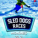 SLED DOG races Monínec 23.2.
