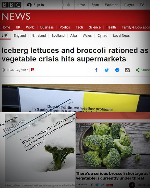 tn_Broccoli Crisis Headlines