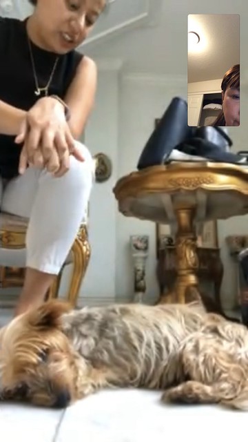 Facetime with Twinkle,  Feb 2, 2018