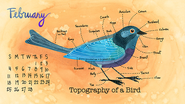 February 2018 desktop calendar