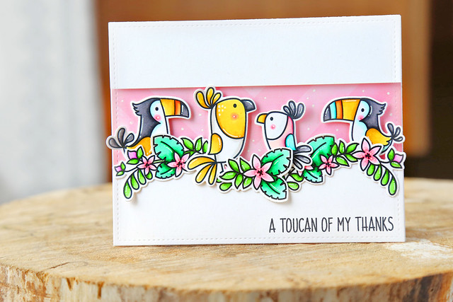 a toucan of thanks (Avery Elle new release blog hop)