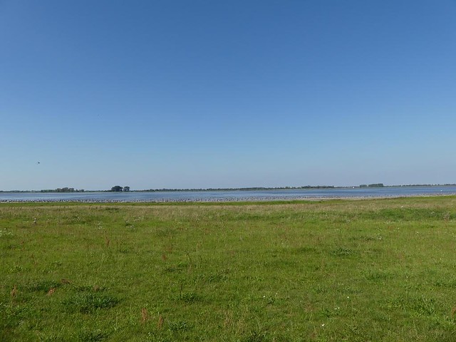 Gülper See - Naturschutzgebiet