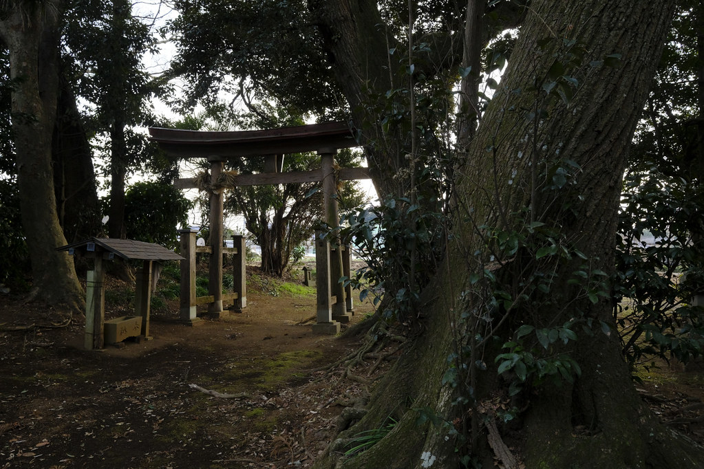 Kashima Shrine 鹿島神社境内