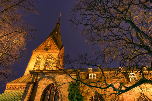 architecture beautifulview bluehour church landscape nature night sky tree trees winter