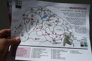 Magnificent Magnolias - SF Botanical Garden map