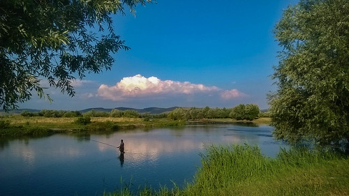 fisherman river water cloud clouds reflections mures transylvania romania targumures blue summer maros marosvasárhely sky scenic scene scenery scenicsnotjustlandscapes scenics landscape reflection rural restful tranquility tranquil serene serenity calm smooth tree trees