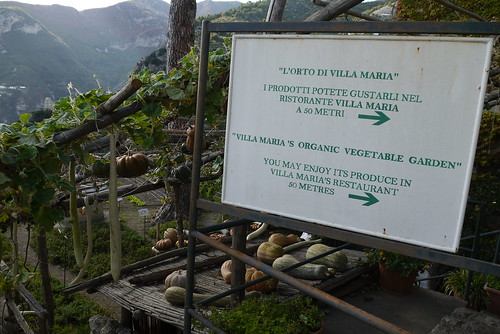 The Way to the Villa Maria