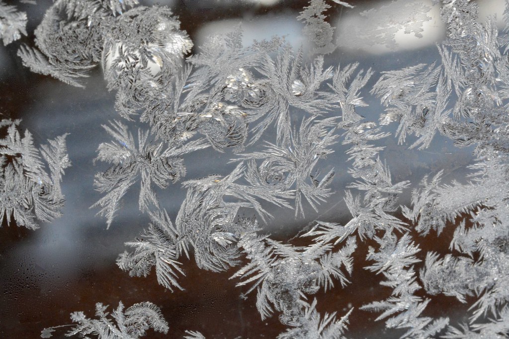 Frost crystals
