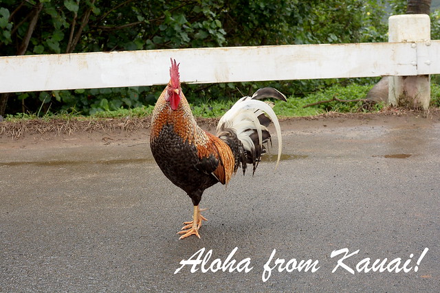 Postcard from Kauai