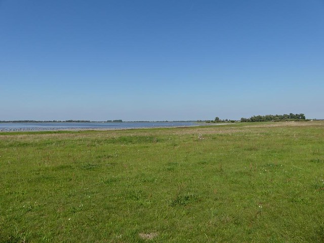 Gülper See - Naturschutzgebiet
