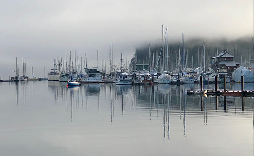 marina fog reflections boats