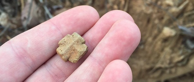 Maltese Cross shaped fairy stone found by hunting them at Fairy Stone State Park in Virginia