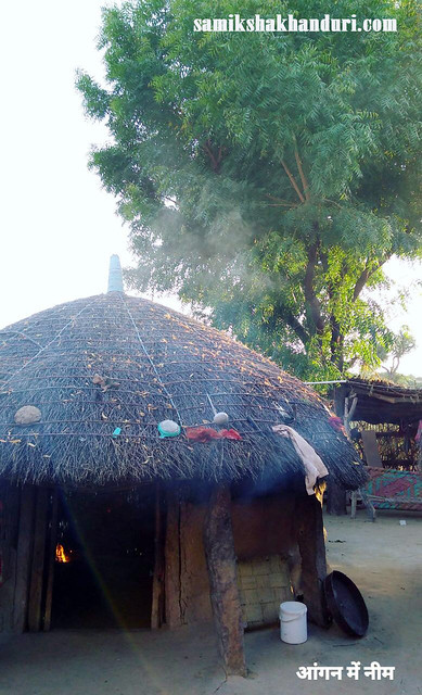 Angan Me Neem - Traditional houses - LOcation - Bhojar, Baytu (Rajasthan)