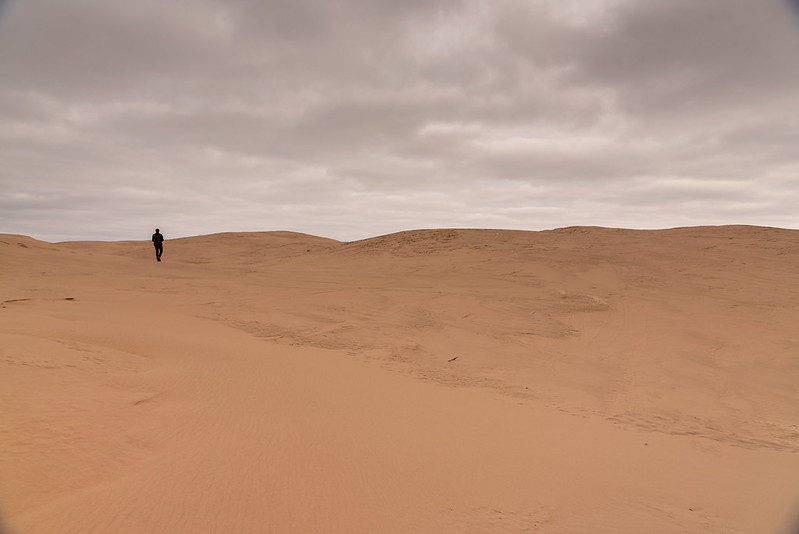 Expansive Dunes