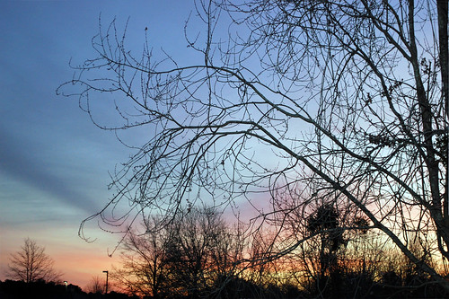 lumberton nc northcarolina robesoncounty outside outdoors sky clouds sunrise daybreak morning goodmorning cloud morningsky tree trees nature natural landscape