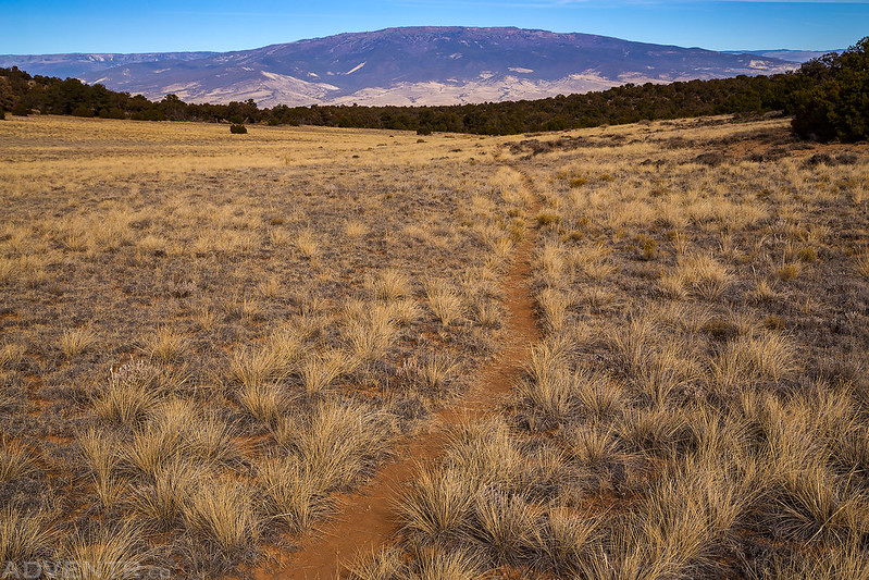 Trail To The Grand Mesa