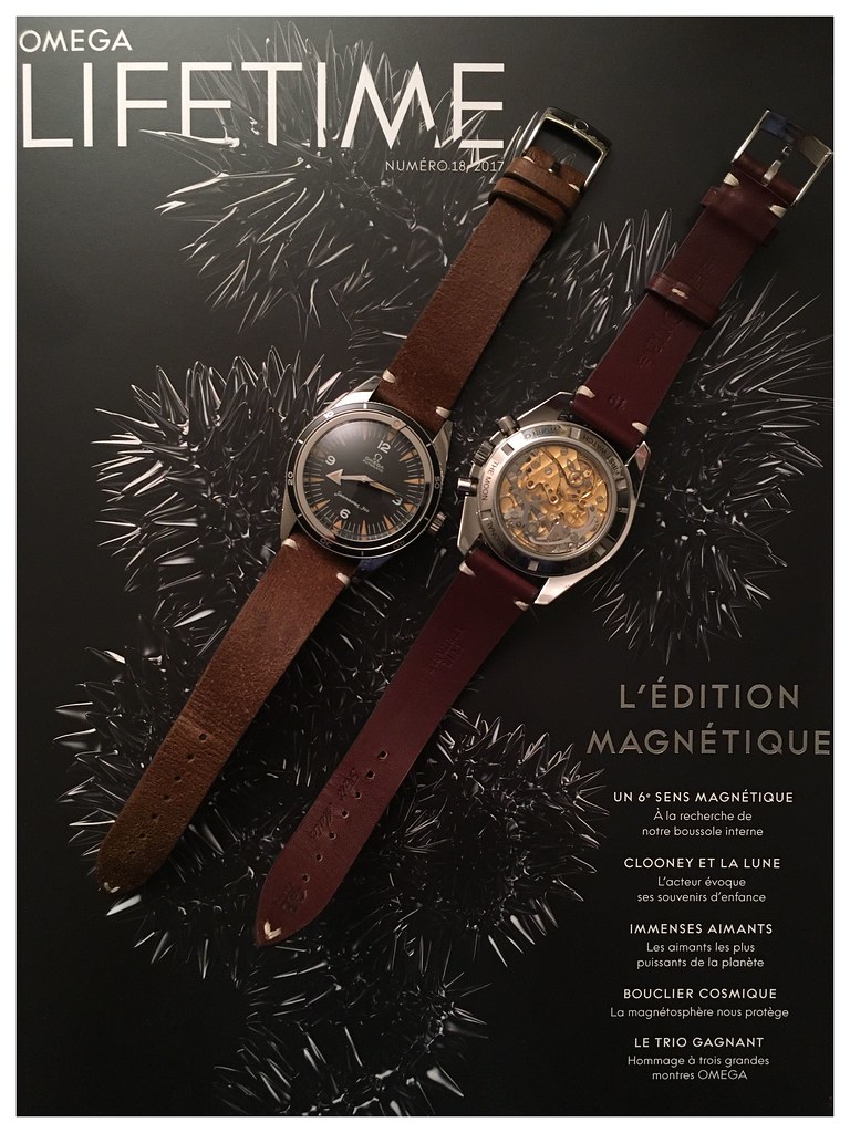 **** L'Omega du jour - tome XII **** - Page 2 38506833425_2df67e3371_b
