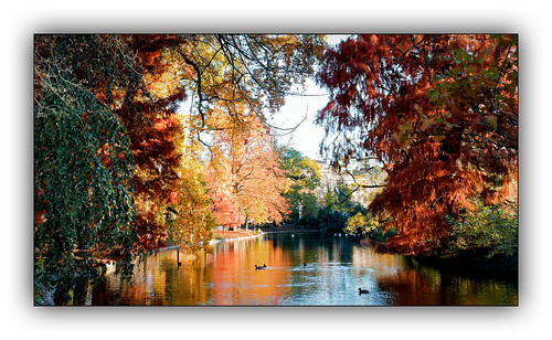 automne autumn feuilles arbre tree colors color couleur paysage landscape parc dxo one ombres lumières explore