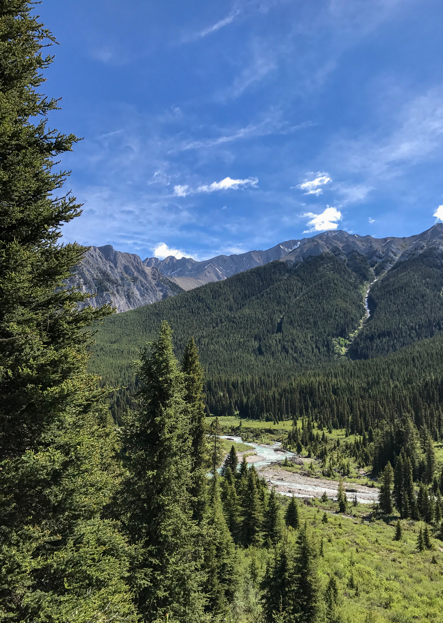 Alpine meadow, Johnston canyon and the inkpots