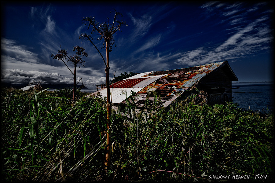 Sky, Clouds, Sea, Weeds and Abandoned Barn...