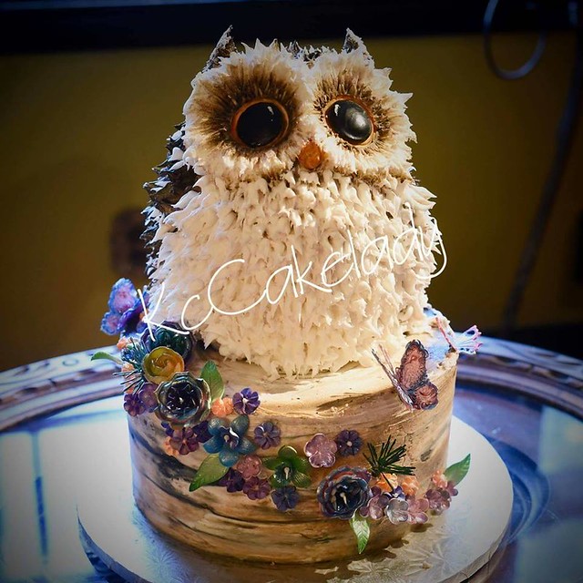 Buttercream Owl by Kim Shelton Marks of Kc Cake Lady