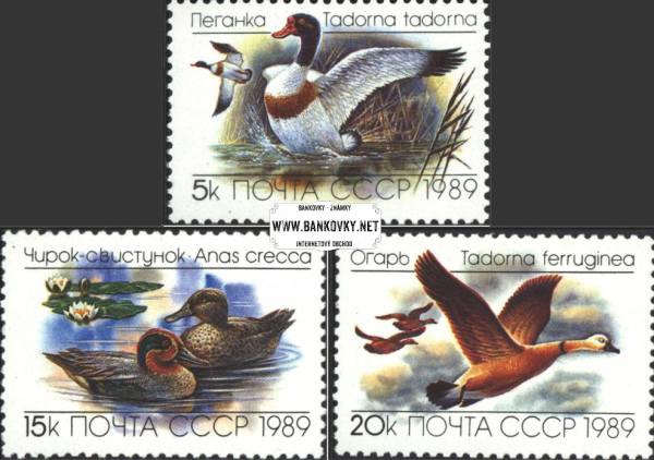 Známky ZSSR 1989  Vtáci divé kačky