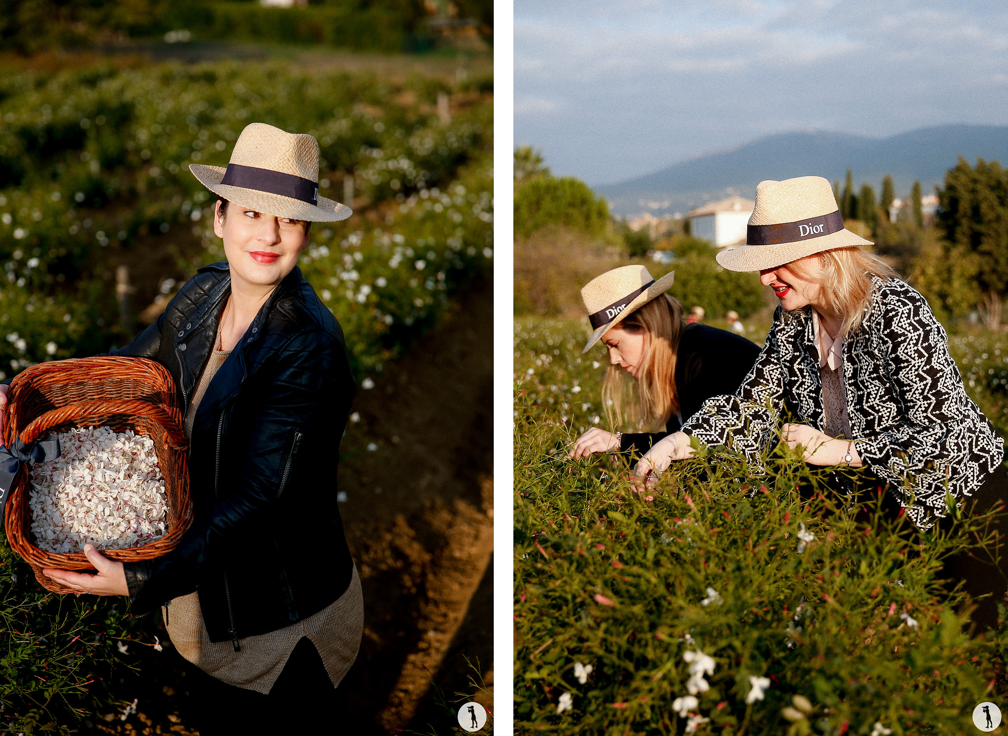Reportage: blog trip à Grasse avec Dior