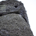 Moss on Stonehenges great Sarsens