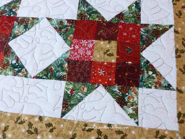 Nine Patch Star Quilt Along at From My Carolina Home