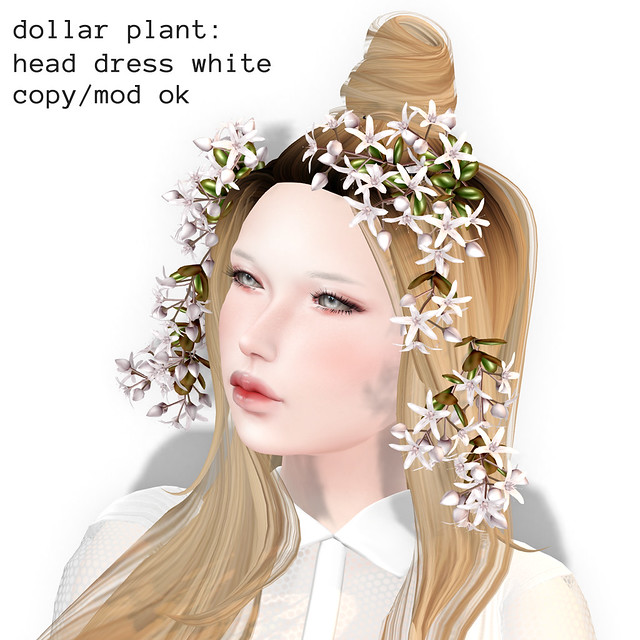 *NAMINOKE*Dollar Plant HeadDress White