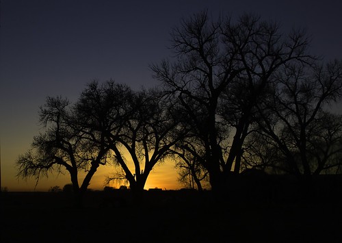 morgancounty colorado tree nature sun sunset dark b4 b5 b6 silhouettte awaitingsmugmug fbgbsus b7 rural silhouette county country allof2017 necolorado
