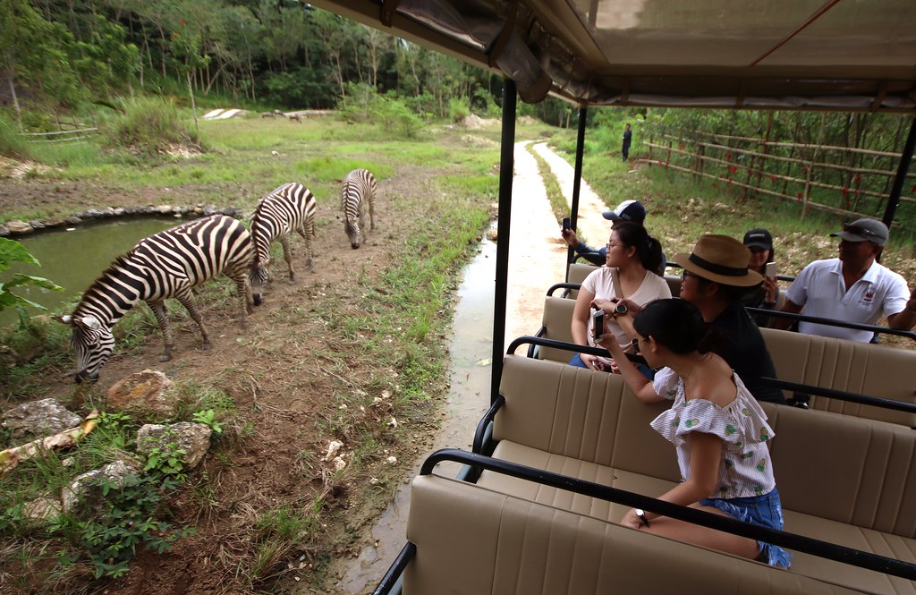 African Savannah - Cebu Safari & Adventure Park