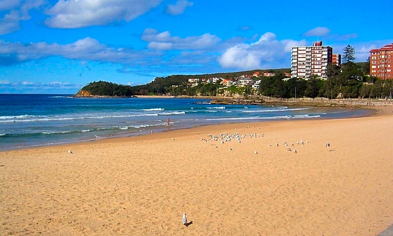 Manly Sydney beach-side suburb